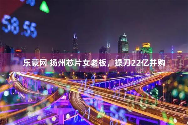 乐蒙网 扬州芯片女老板，操刀22亿并购