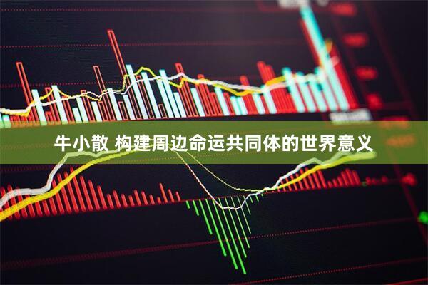 牛小散 构建周边命运共同体的世界意义