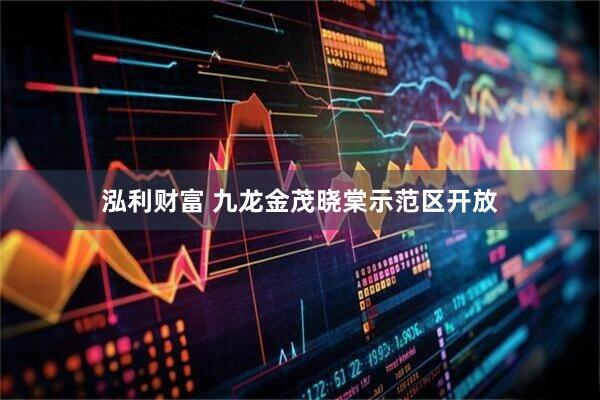 泓利财富 九龙金茂晓棠示范区开放