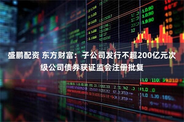 盛鹏配资 东方财富：子公司发行不超200亿元次级公司债券获证监会注册批复