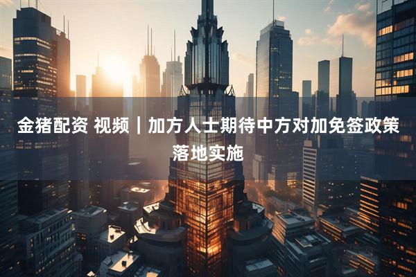 金猪配资 视频|加方人士期待中方对加免签政策落地实施