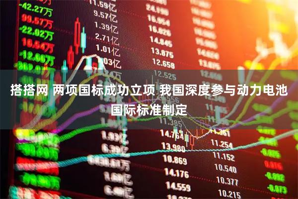 搭搭网 两项国标成功立项 我国深度参与动力电池国际标准制定